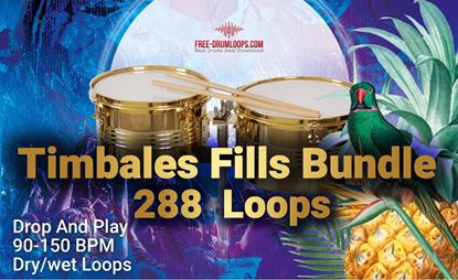 Picture of Timbale Fill's Bundle